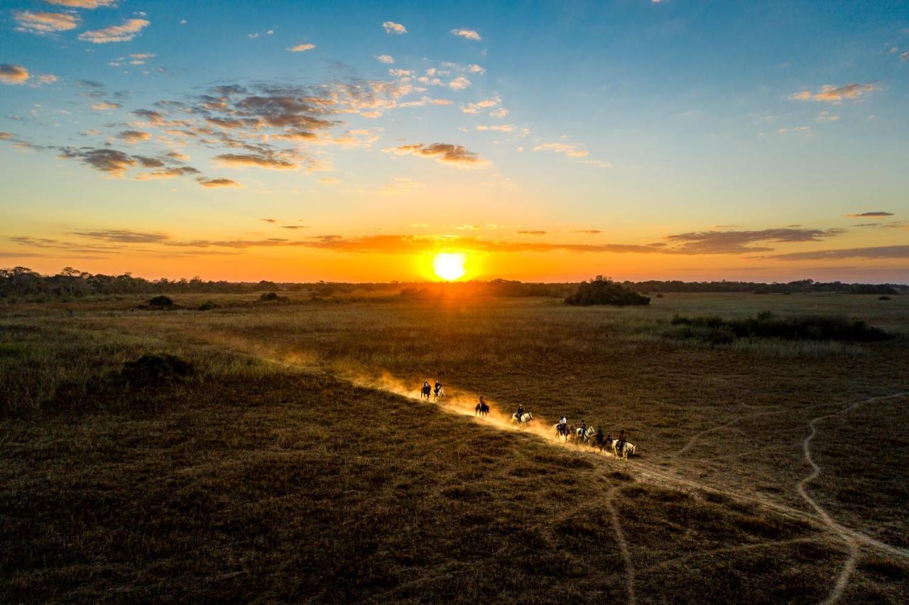 Pousada Araras Pantanal Eco Lodge Carvoalzinho 외부 사진