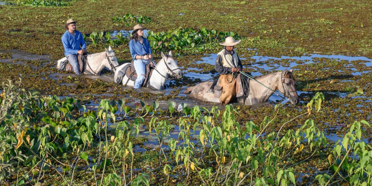 Pousada Araras Pantanal Eco Lodge Carvoalzinho 외부 사진