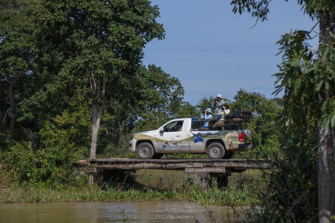 Pousada Araras Pantanal Eco Lodge Carvoalzinho 외부 사진