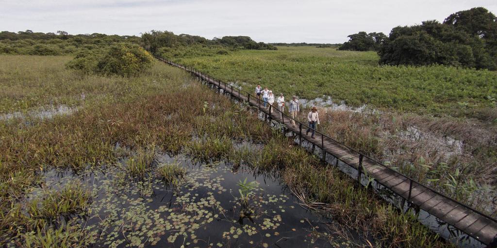 Pousada Araras Pantanal Eco Lodge Carvoalzinho 외부 사진