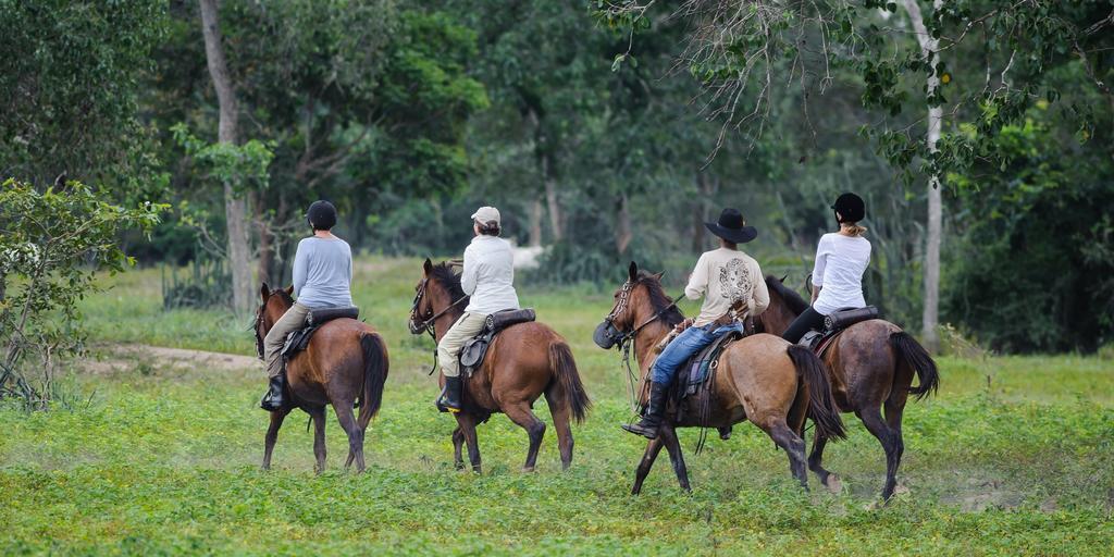 Pousada Araras Pantanal Eco Lodge Carvoalzinho 외부 사진