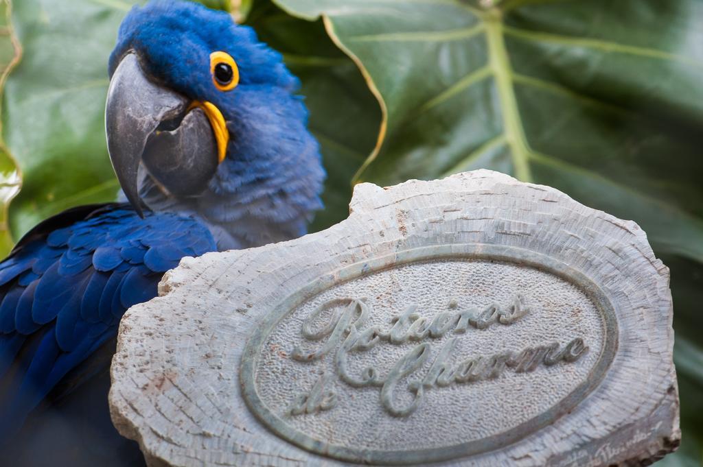 Pousada Araras Pantanal Eco Lodge Carvoalzinho 외부 사진