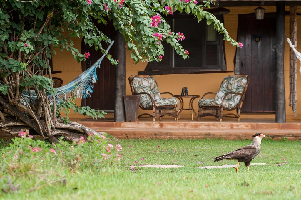 Pousada Araras Pantanal Eco Lodge Carvoalzinho 외부 사진